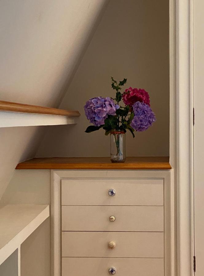 Olatu Haundia Donostian Apartment San Sebastian Bagian luar foto